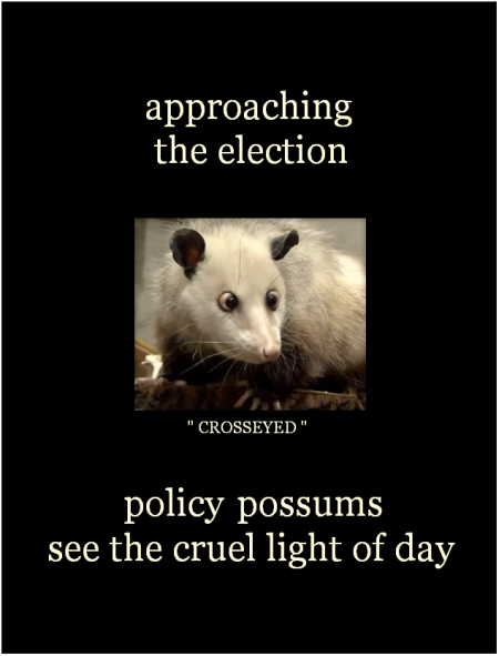 Policy Possums 1
