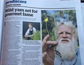 Australia has lost its cultural identity