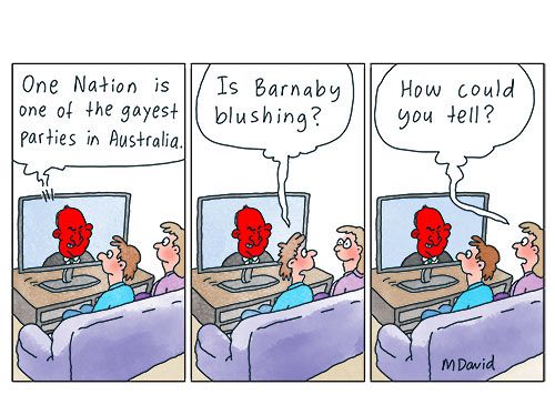 Barnaby Joyce discovers the political power of pinkwashing