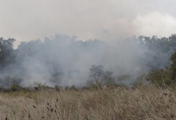 Australia will continue to burn unless Indigenous voices are heard