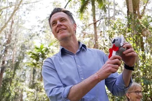 Carbon credit offset scheme holds koala park to ransom
