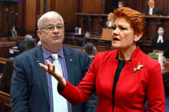 Pauline Hanson's costly role in One Nation courtroom drama