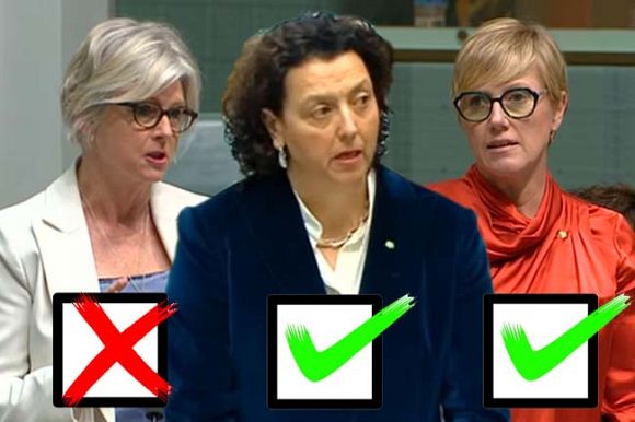 So-called 'progressive' media show true colours over Industrial Relations Bill