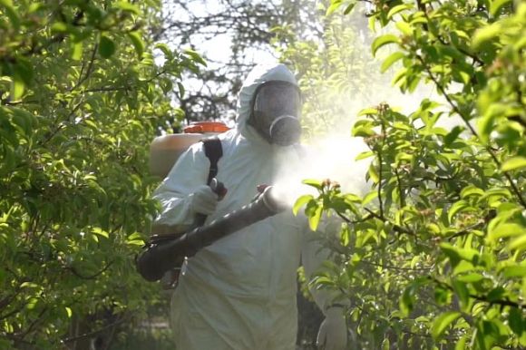 Pesticides worsen climate change, causing a need for more pesticides