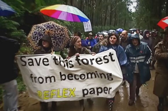 Governments turning deaf ears on logging outrage