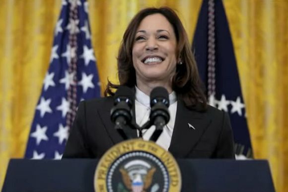 Race, gender, age will determine Kamala Harris' running mate