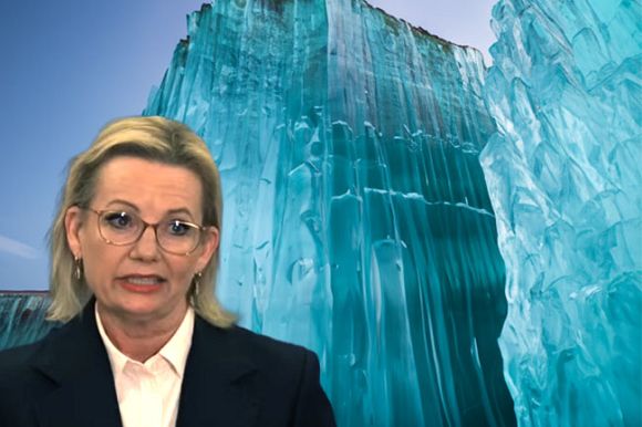 Leying down the new order with Sussan: A Liberal Party fictional tale