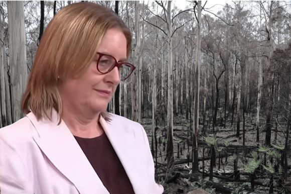 Victoria’s wildlife pays the price for Labor’s bushfire failures