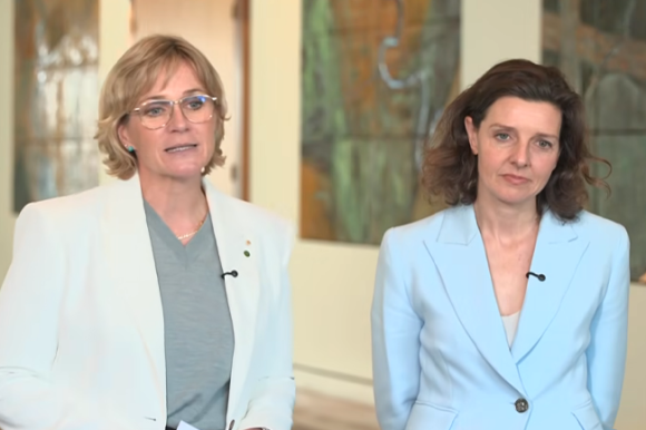 Teals' new party puts their independence at risk