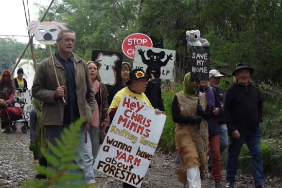 Carbon offsets threaten Great Koala National Park promise