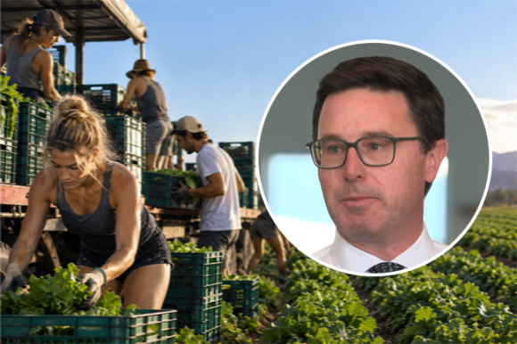 Coalition boxed in by working holiday visa policy