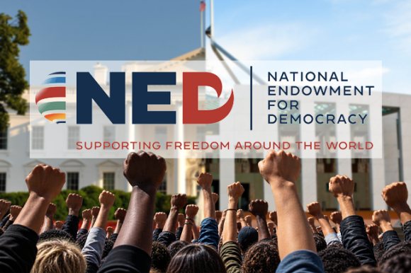 Democracy for sale: The powerful institutions escaping their own scrutiny