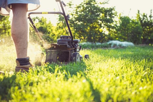 The case of the missing lawn mower