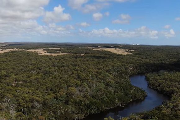 Rushy Lagoon sale: Tasmania's largest farm and the carbon math that doesn't add up