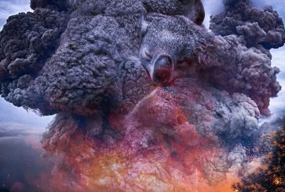 Burning our koalas: Australia's shame