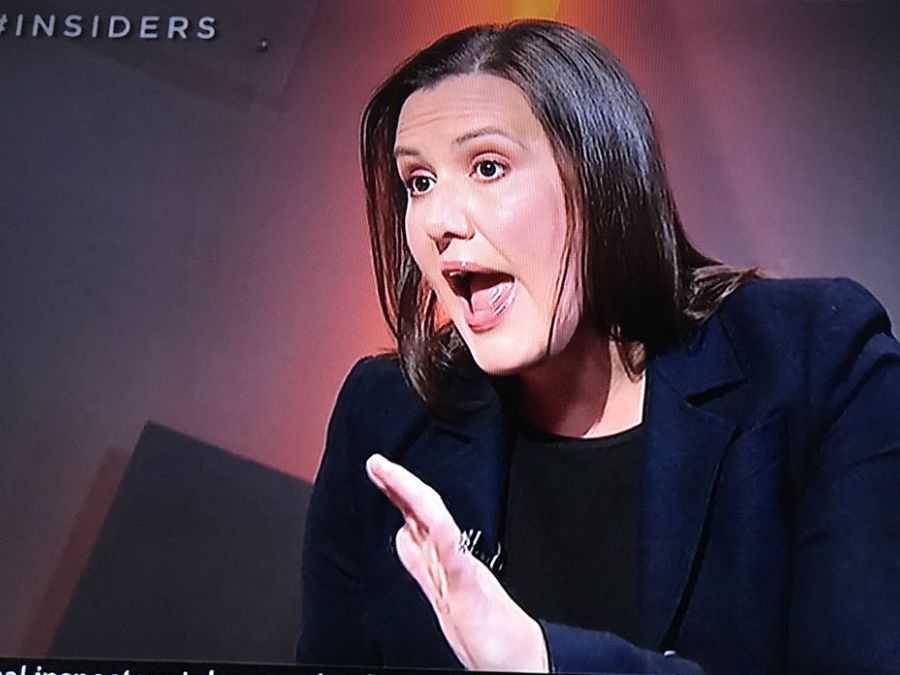 Kelly O’Dwyer a feminist? Pull the other one
