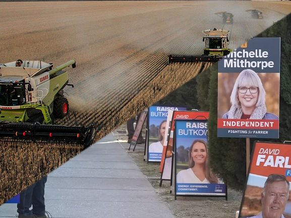Farmers are anxious, but still in a pretty good paddock