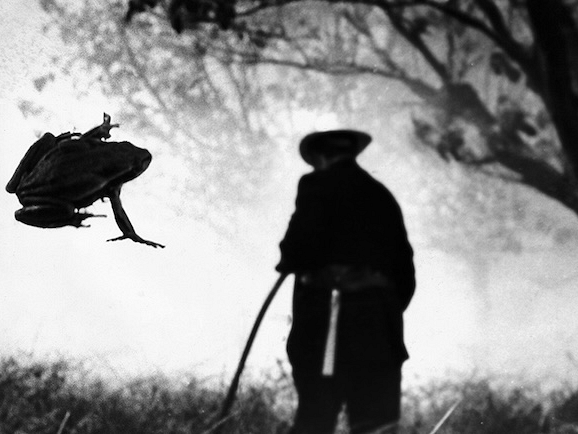 Bushfires frighten all creatures — great and small