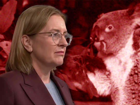 Cover-ups, culls and cruelty: Inside Victoria's wildlife cri