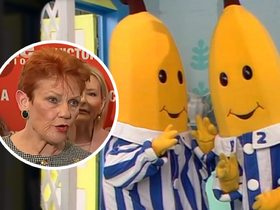 Pauline Hanson’s ABC paywall threatens our shared culture