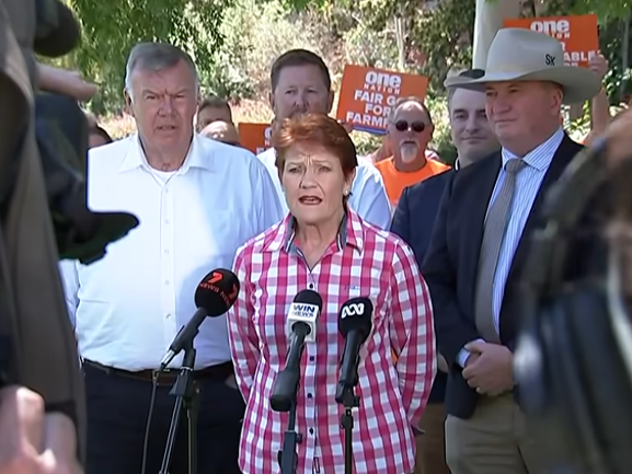 One Nation’s migration maths doesn’t add up