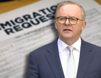 Albanese Government will hope net migration has peaked