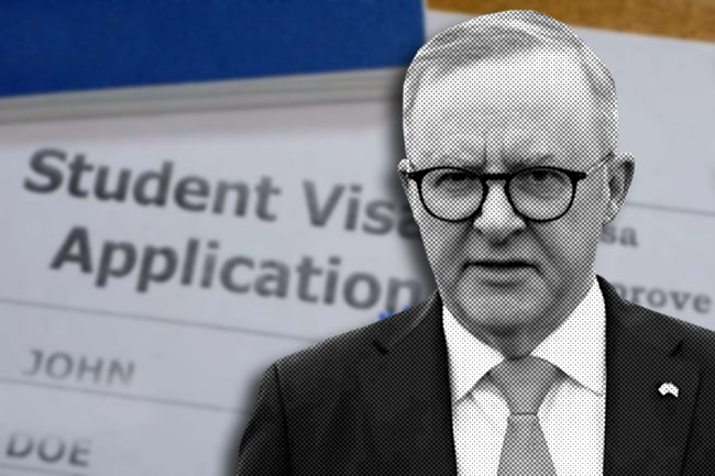 Increasing student visa fees would be shooting ourselves in the foot