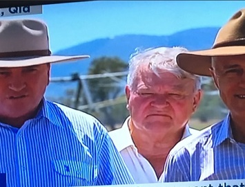 Malcolm and Barnaby's bizarre prenuptial agreement