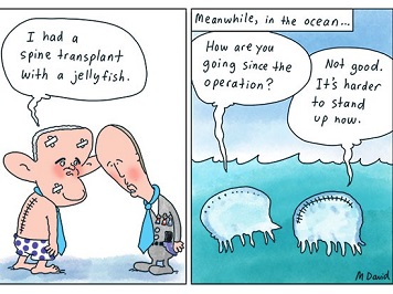 CARTOON: Turnbull's spine