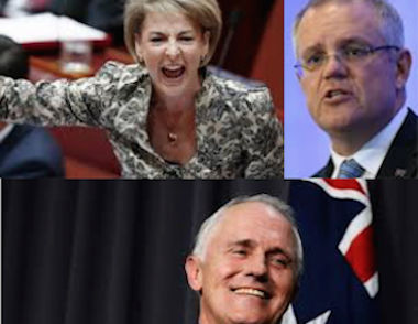 Jobs and growth? Both collapsing under Turnbull, Morrison and Cash