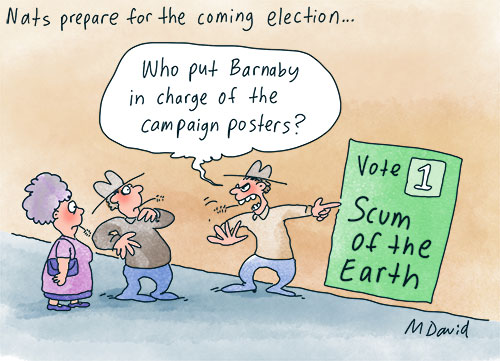 CARTOONS: Vote 1, Mark David!