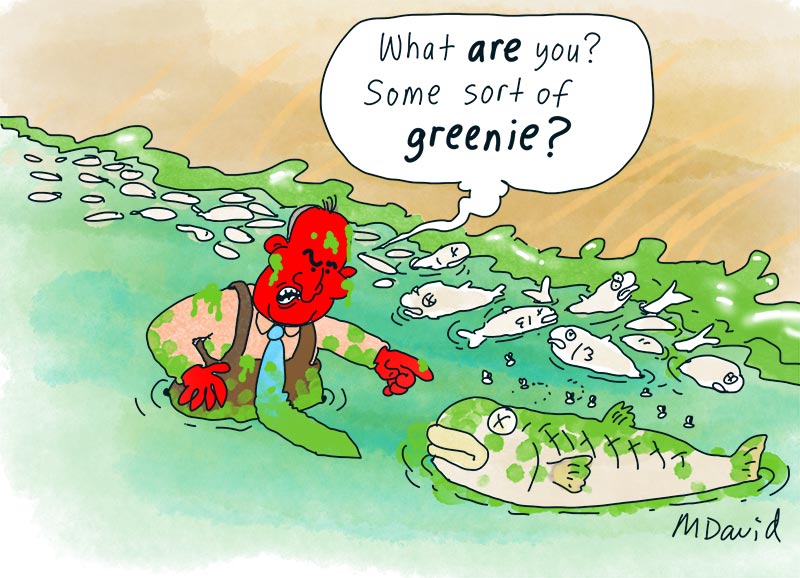 EDITORIAL EXCERPT: Captain Morrison’s Coalition is Cooked like the fish