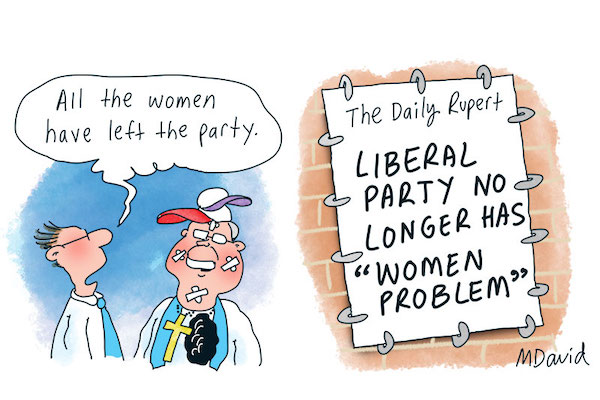 Julie Bishop and the Liberal Party women