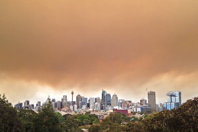 Australia on fire: Priorities, delusions and governments’ duties of care