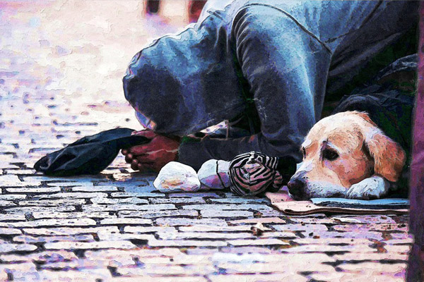 Australia's homeless situation — we need to do better