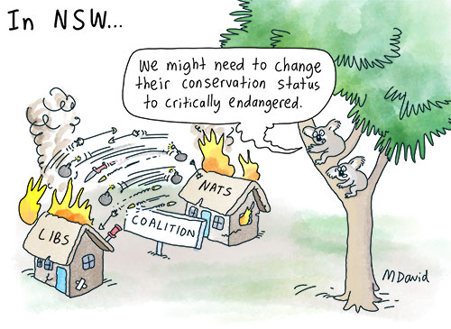 EDITORIAL: The Coalition, koalas and coal