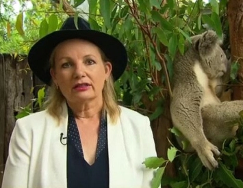 Federal legislation fails to protect wildlife and the environment