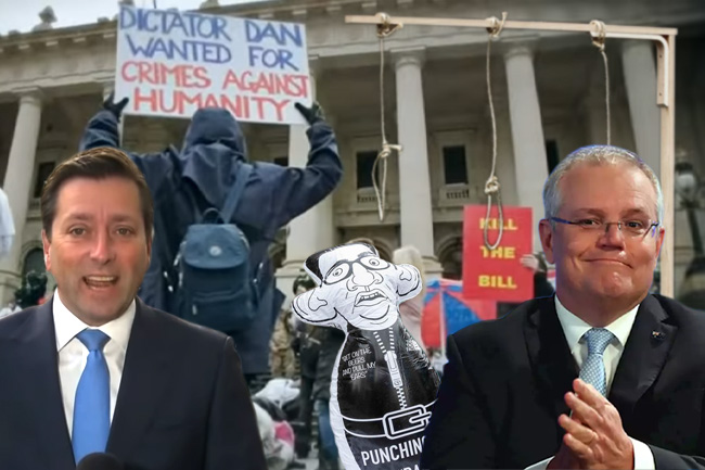 EDITORIAL: Liberals incite Far-Right to lynch Andrews