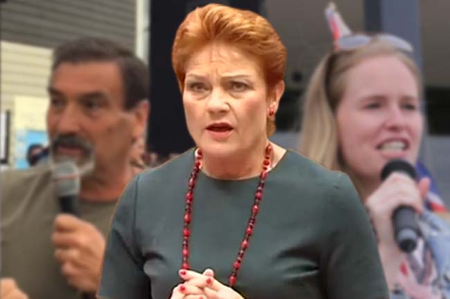 Political vultures like Hanson manipulating far-right protesters