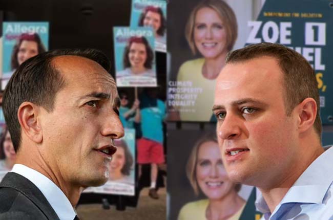 KERRYN PHELPS: Coalition go for teal in The Corflute Games