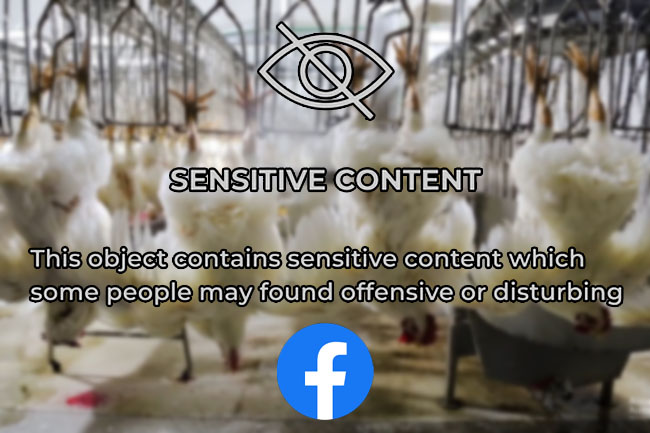 The problem with Facebook’s content warnings