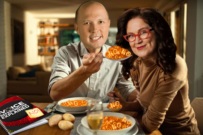 EDITORIAL: Dutton reveals PTSD battle on ABC's 'Kitchen-Counter-Information-Cabinet'