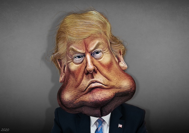 Trump & Orbán: The deceptive allure of strong men in power