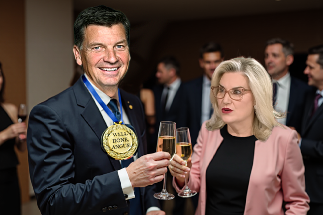 Hollie Hughes praises Angus Taylor on ‘absolutely reprehensible’ job: 'Well done, Angus!'