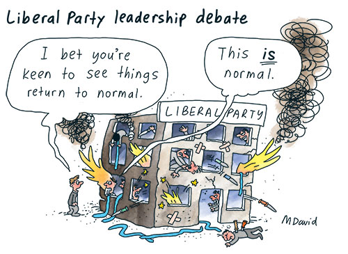 CARTOONS: Liberal Party Ley-bours over new leadership