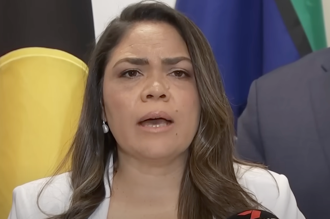 Senator Jacinta Price dumped from Liberal front bench over migrant comments