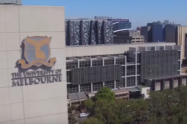 Degrees of failure: Senate exposes university governance crisis