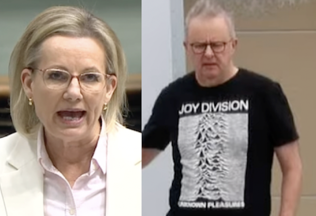 Division but no Joy or vision from Ley’s Liberals