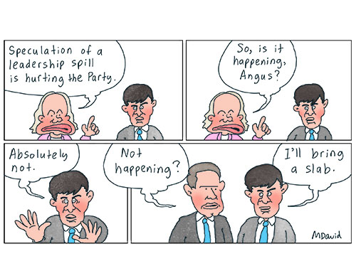 CARTOONS: Libs' leadership spill speculation is trending