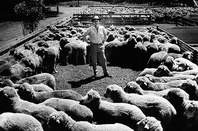 Legend, John Landy: The athlete who 'went the extra mile'